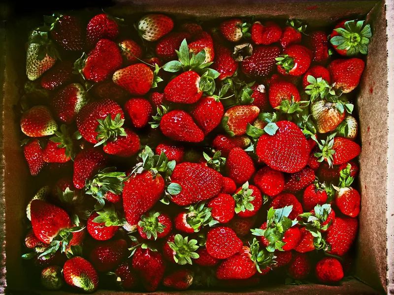 Stroberi Petik 250 Gram