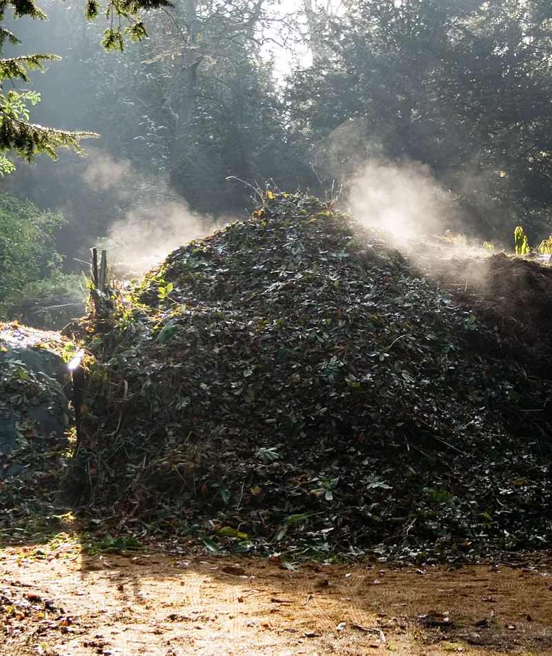Membuat Kompos dari Sampah Dapur